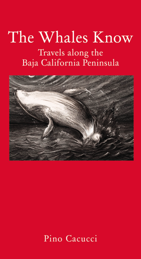 Cover of The Whales Know: Travels along the Baja California Peninsula by Ponp Cacucci